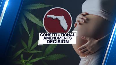 What’s on Florida’s 2024 ballot?: A complete guide to the six proposed state amendments