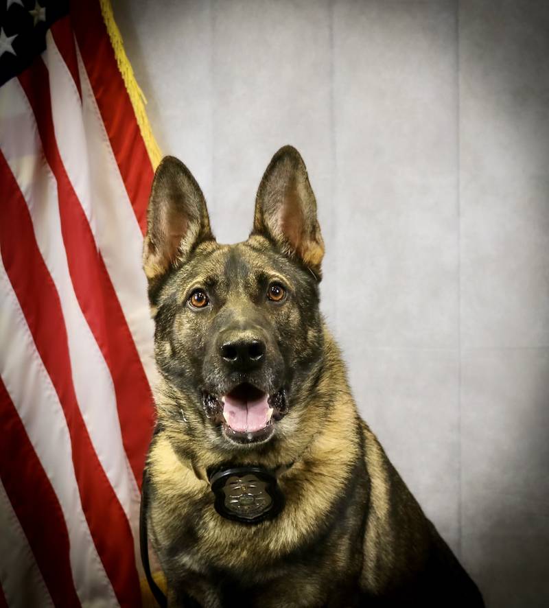 After 5 years with the department, K9 Rossi is calling it a career and will enjoy retirement with his handler, Officer Monks.