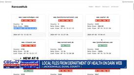 'It's quite devastating:' More than 40,000 files released by hacker group after Florida DOH hack
