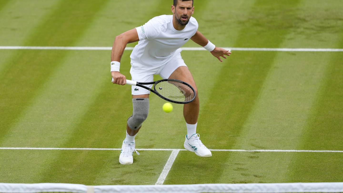 Wimbledon 2024 Novak Djokovic and Andy Murray are in the draw after