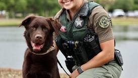 St. Johns County Sheriff’s Office gets new K9