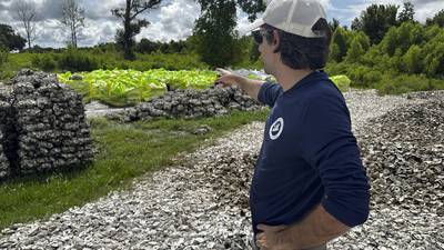 AmeriCorps CEO gets a look at a volunteer-heavy project to rebuild Louisiana's vulnerable coast.